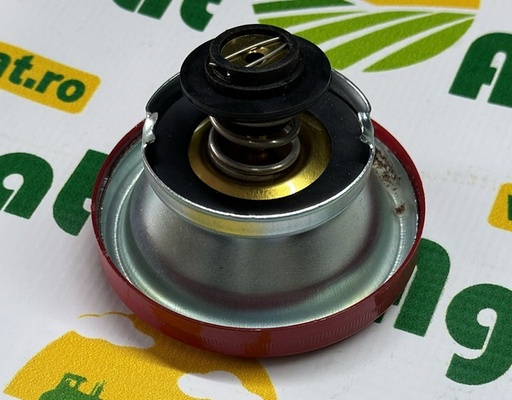 [15921] Capac Rezervor 1698042M91