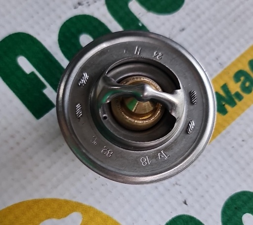 [13276] Termostat 2485C021