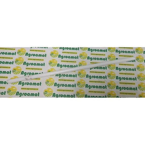 [11763] Bara Teramida D20