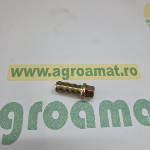 [11228] Surub Cardan Manitou 231625