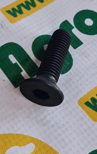 [10748] Surub cu Cap Inecat si Locas Inbus M14X55