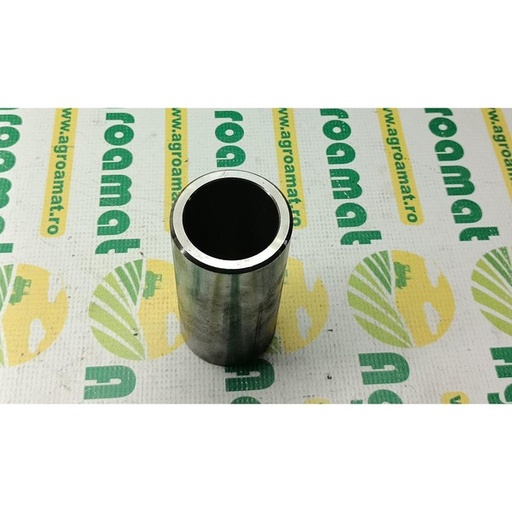 [5861] Bucsa Conica  Furca