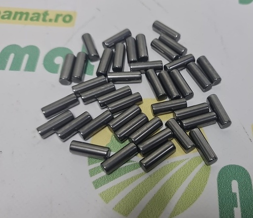 [10544] Rulment Pinion Satelit 5101688