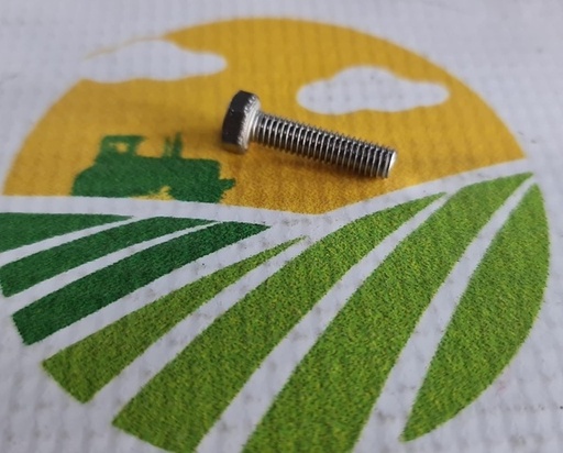 [1970] Surub F01020381R