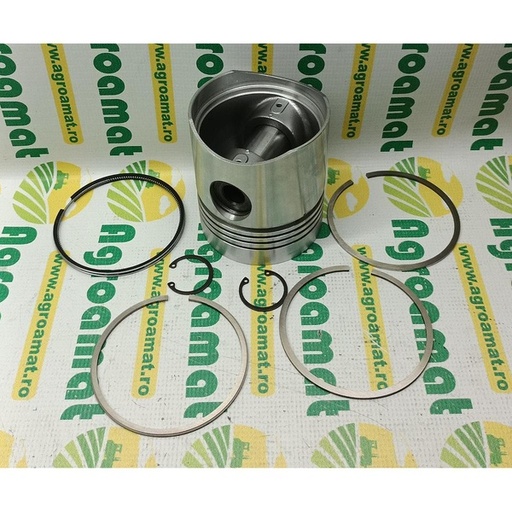 [26899] Piston Cu Segmenti