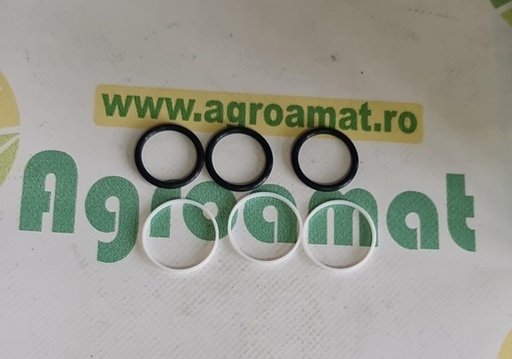 [29006] Kit Reparatie 85286015