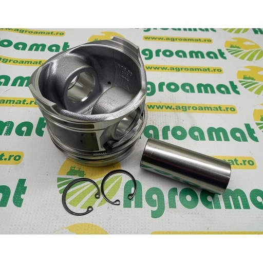 [28180] Piston Cu Segmenti 0.338.0060.6/20