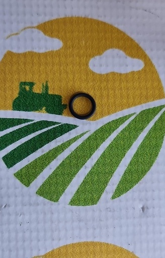 [28160] O-Ring 3019393x1