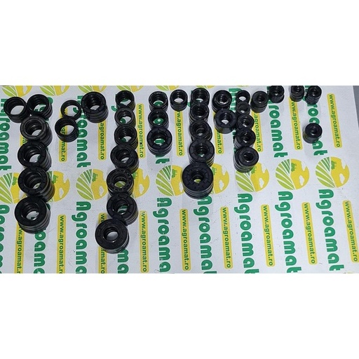 [70555] Simering 45X55X7