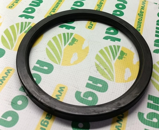 [29394] Simering 170x200x15