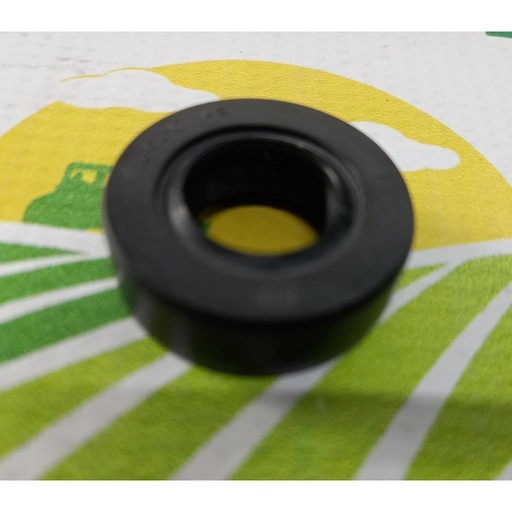 [29135] Simering 15x30x10