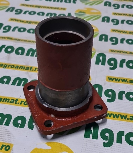 [28891] Butuc Fulie Mica