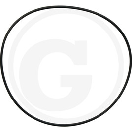 [31410] O-Ring RG00031156