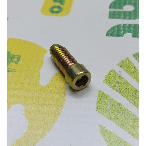 [32135] Surub 040594