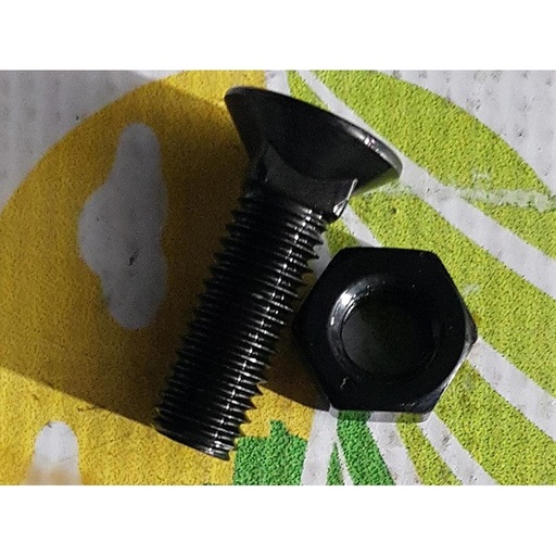 [32425] Surub Plug Gat Patrat M10X35