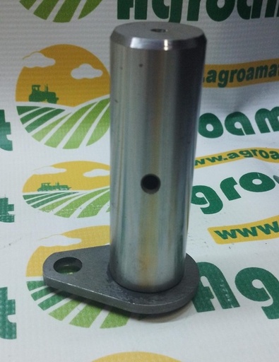 [123949] Piston Cilindru Hidraulic 87554183