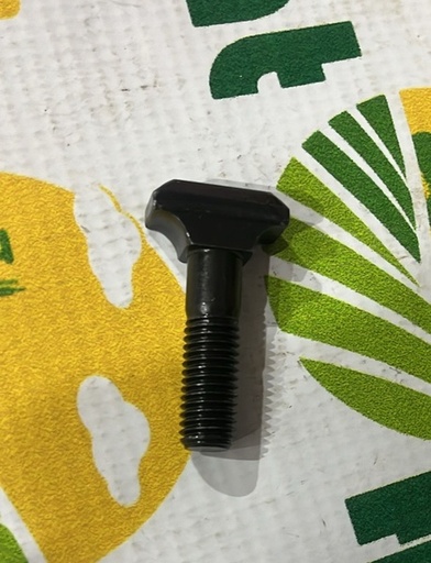 [126874] Surub Lant Cap T M10x47