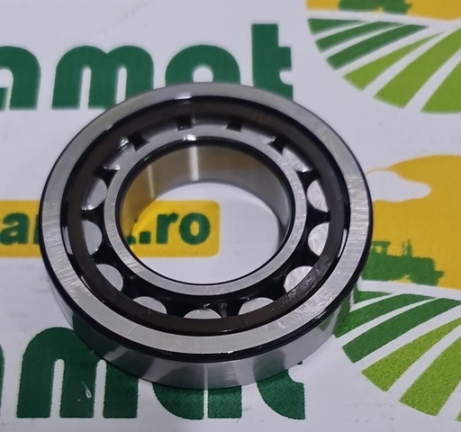 [132982] Rulment SKF