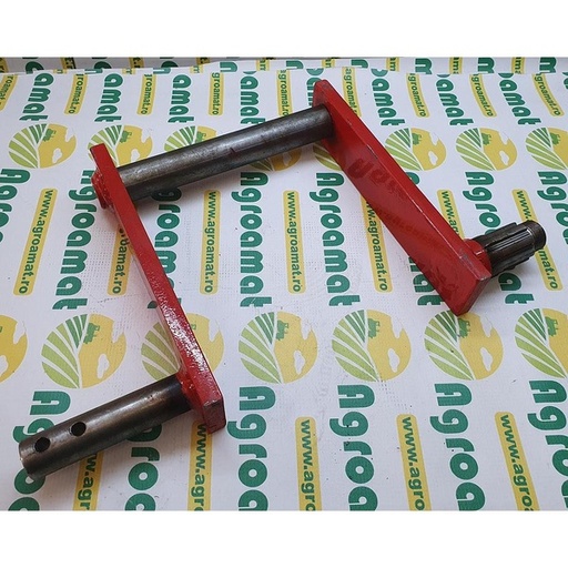 [53675] Arbore Furci Alimentare 48.06.054