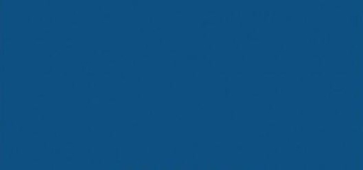 [62879] Vopsea albastra Grebla 1l