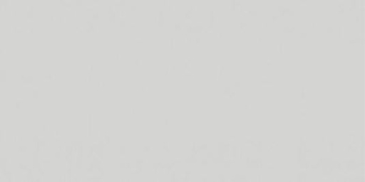 [62920] Vopsea gri deschis Steyr 1980- 1l