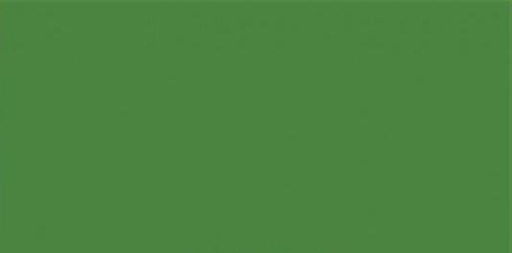 [62981] Vopsea verde Strautmann 1994- 1l