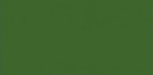 [63256] Vopsea verde Krone 1991- 1l