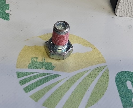 [140807] Surub F01010303R