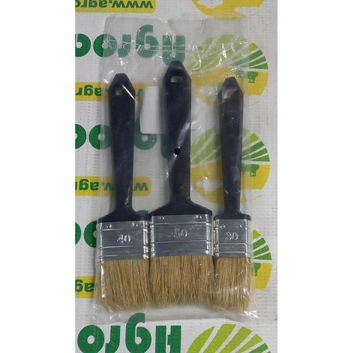 [70244] Set pensule plate