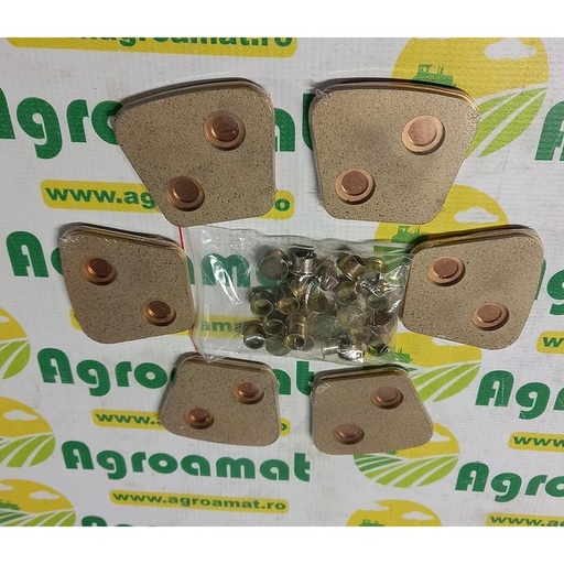 [74996] Set 12 ferodouri cu nituri