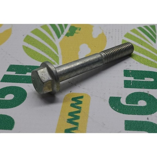 [81558] Surub 6005012986