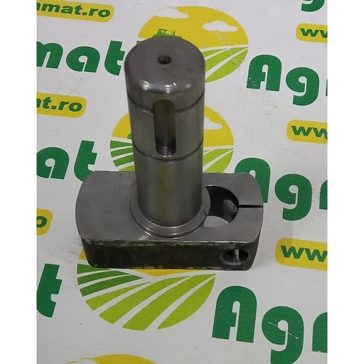 [83147] Arbore Antrenare Rapita