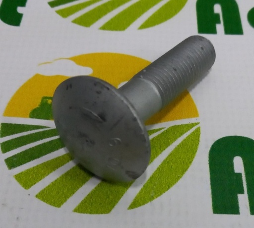 [104249] Surub cu Cap Plat 3012242