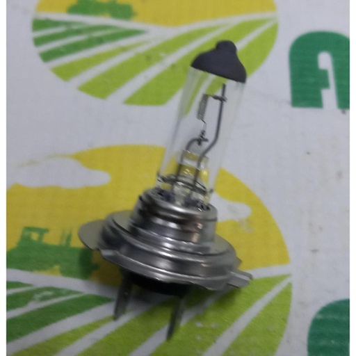 [104556] Bec H18 12V 65W