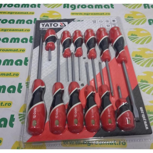 [105007] Set 12 Surubelnite