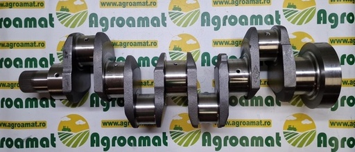 [120473] Arbore ZZ90081