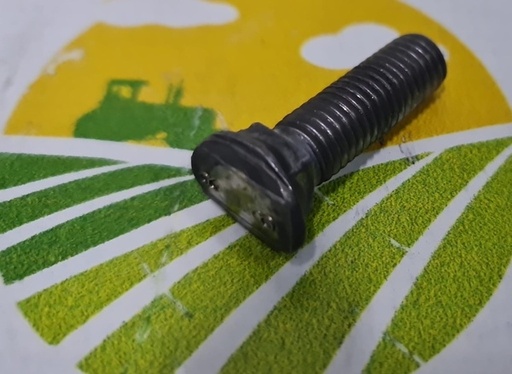 [121250] Surub Brazdar M10x38