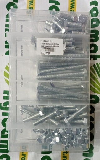 [126703] Trusa Suruburi M10 cu cap Hexagonal si Piulite 100 Piese