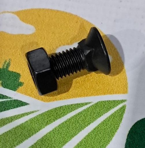 [127668] Surub Cap Plat Gat Patrat M10x25mm