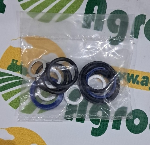 [128249] Set Garnituri Cilindru Directie