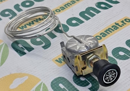 [130538] Termostat 04367398