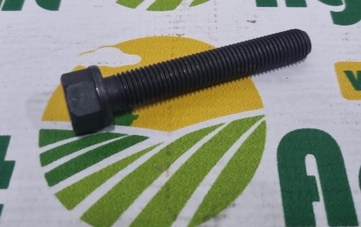 [132249] Surub Biela F119200310060