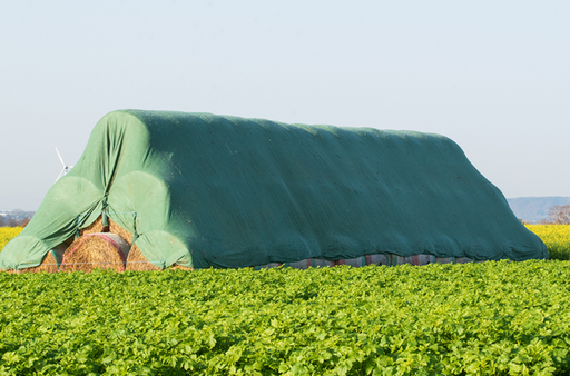 [133516] Prelata Baloti 10x25M