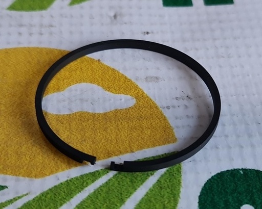 [134002] Segment T168706