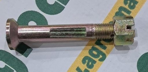 [135163] Surub Parghie Ambreiaj