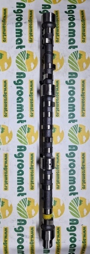 [135997] Arbore cu Came 31416304