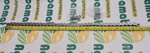 [137347] Lant cu Role AC691461