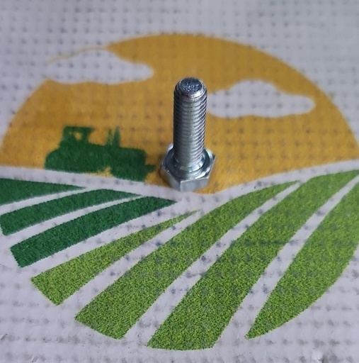 [137489] Surub F01020404R