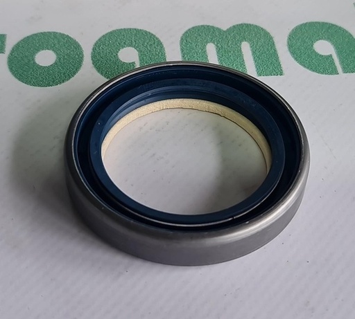 [138487] Simering Planetara Fata 3019957X1