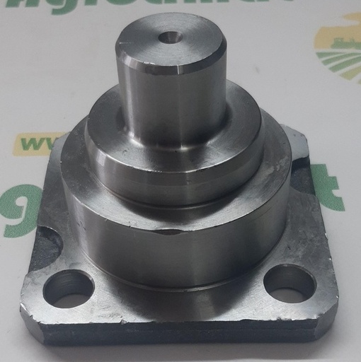 [138707] Pivot Punte Fata V35686700